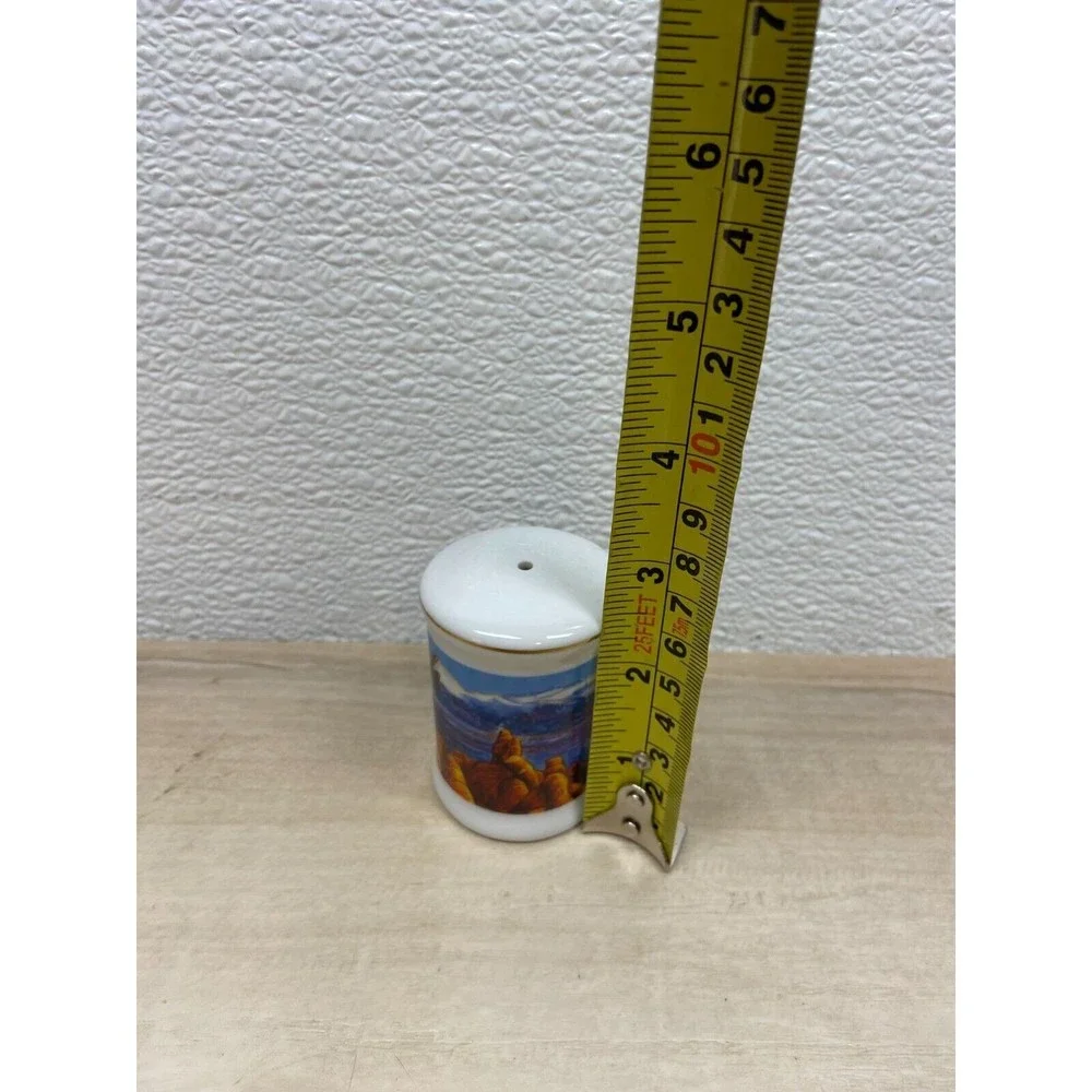 Vintage Utah Ceramic Salt Shaker Travel Souvenir